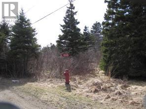 4 Williams Lane, Kippens, Newfoundland & Labrador  A2N 3V1 - Photo 3 - 1287541