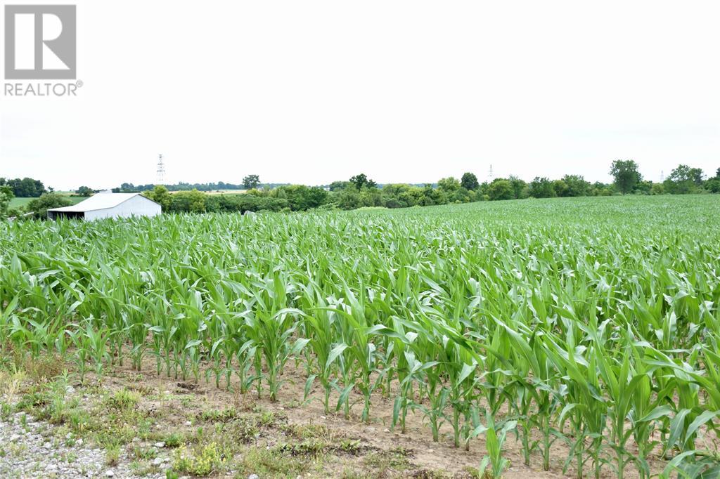 15686 Muirkirk Line, Muirkirk, Ontario  N0L 1X0 - Photo 2 - 25016912