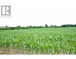 15686 MUIRKIRK LINE, Muirkirk, Ontario