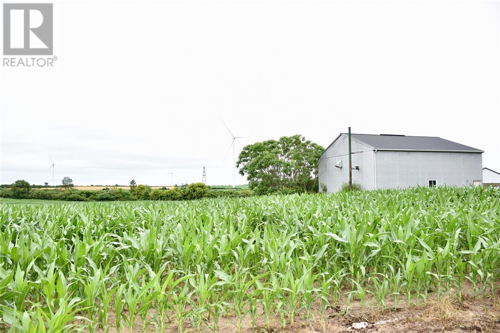 15686 Muirkirk Line, Muirkirk, Ontario  N0L 1X0 - Photo 10 - 25016912
