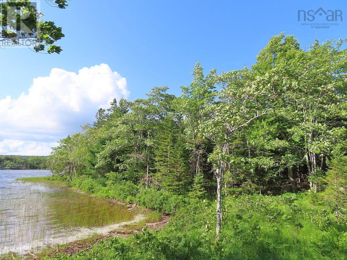Lot 7 Theresa, Third Lake Lane, Grande Anse, Nova Scotia  B0E 1V0 - Photo 32 - 202416042