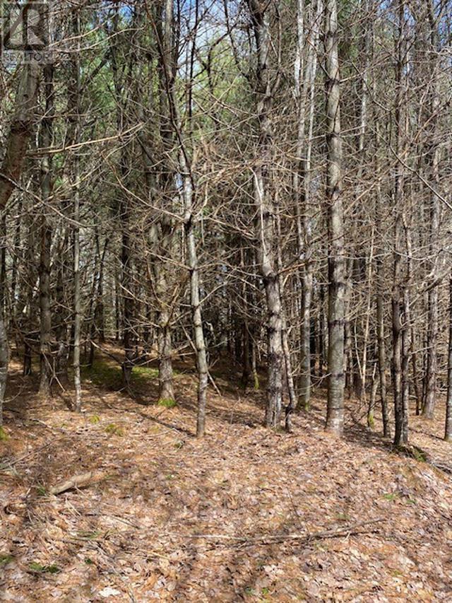 1539 Old Liverpool Road, The Halfway, Nova Scotia  B0R 1H0 - Photo 10 - 202510343