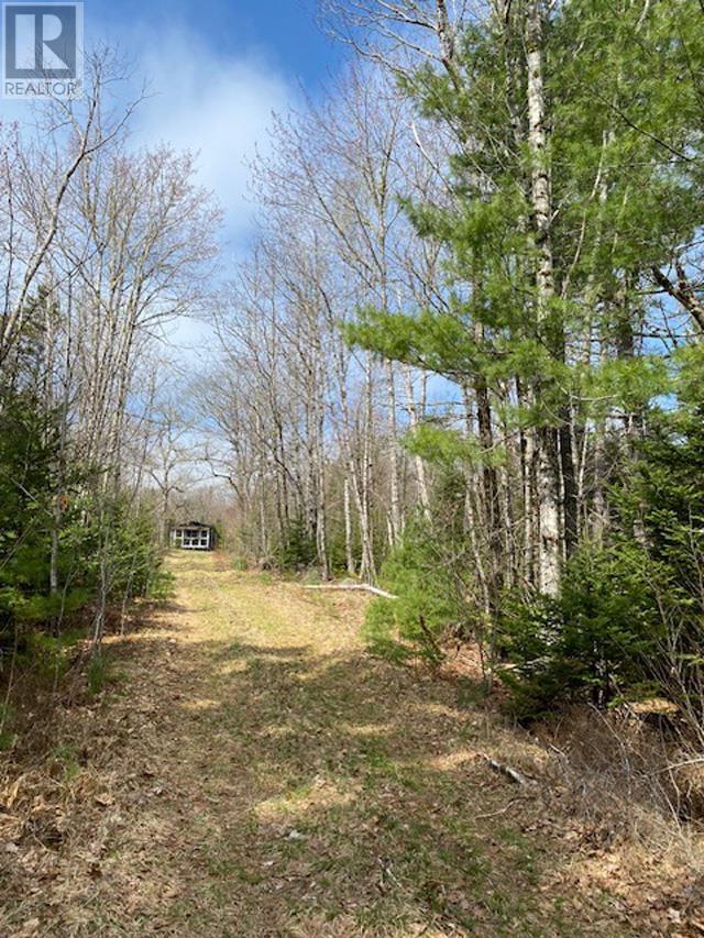 1539 Old Liverpool Road, The Halfway, Nova Scotia  B0R 1H0 - Photo 8 - 202510343