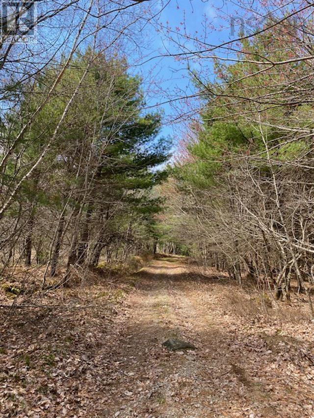 1539 Old Liverpool Road, The Halfway, Nova Scotia  B0R 1H0 - Photo 2 - 202510343