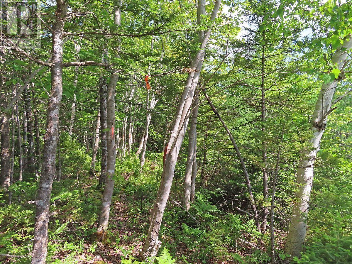Lot 24 Perry Lane, Lennox Passage, Nova Scotia  B0E 1K0 - Photo 10 - 202516863