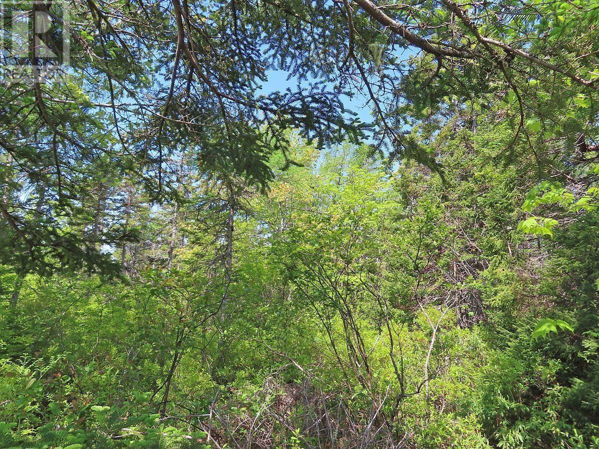 Lot 24 Perry Lane, Lennox Passage, Nova Scotia  B0E 1K0 - Photo 12 - 202516863