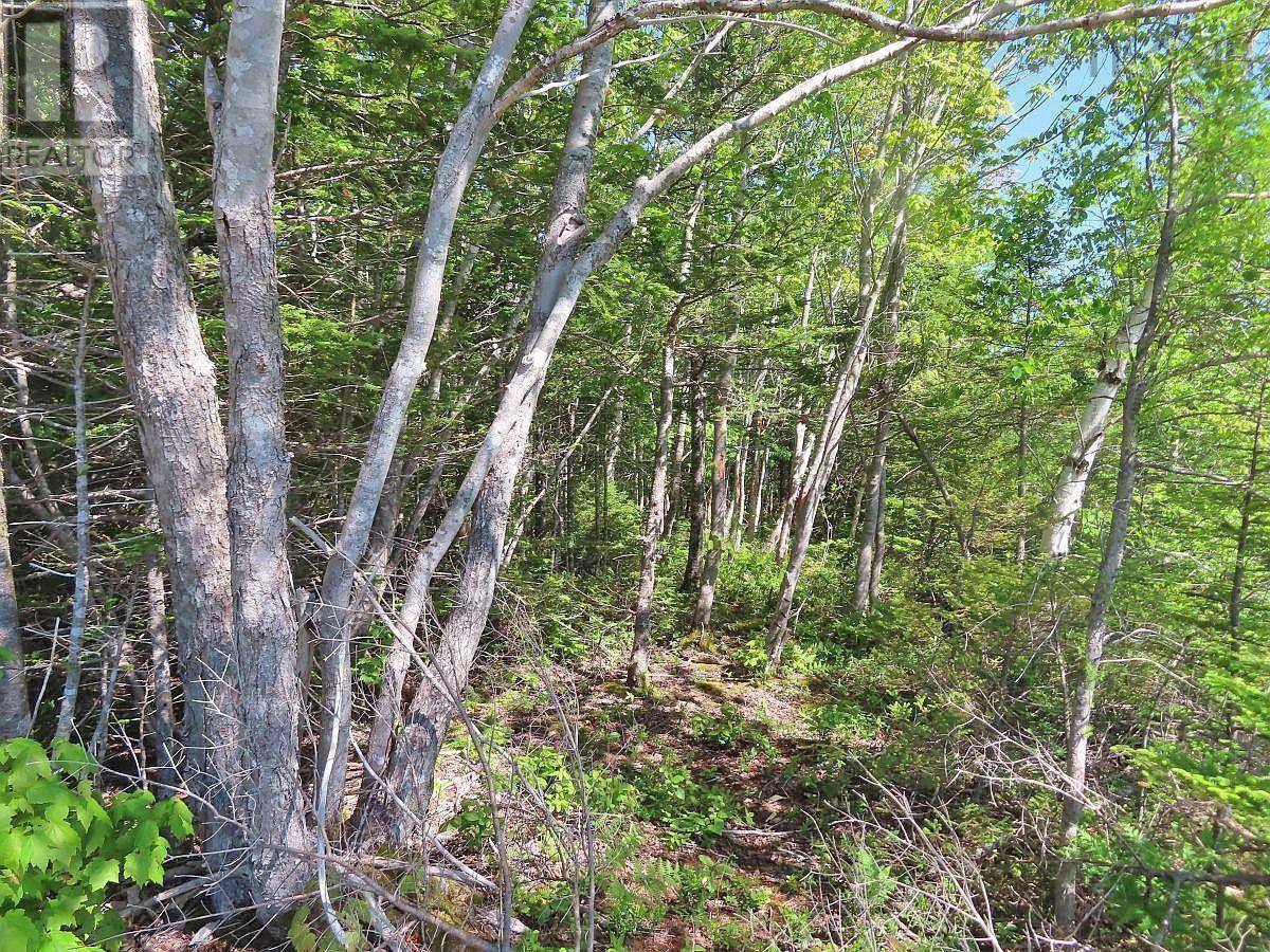 Lot 24 Perry Lane, Lennox Passage, Nova Scotia  B0E 1K0 - Photo 9 - 202516863