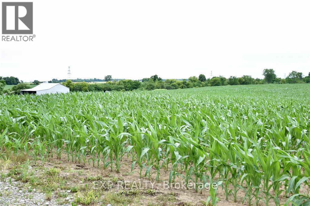 15686 MUIRKIRK LINE, Chatham-Kent, Ontario