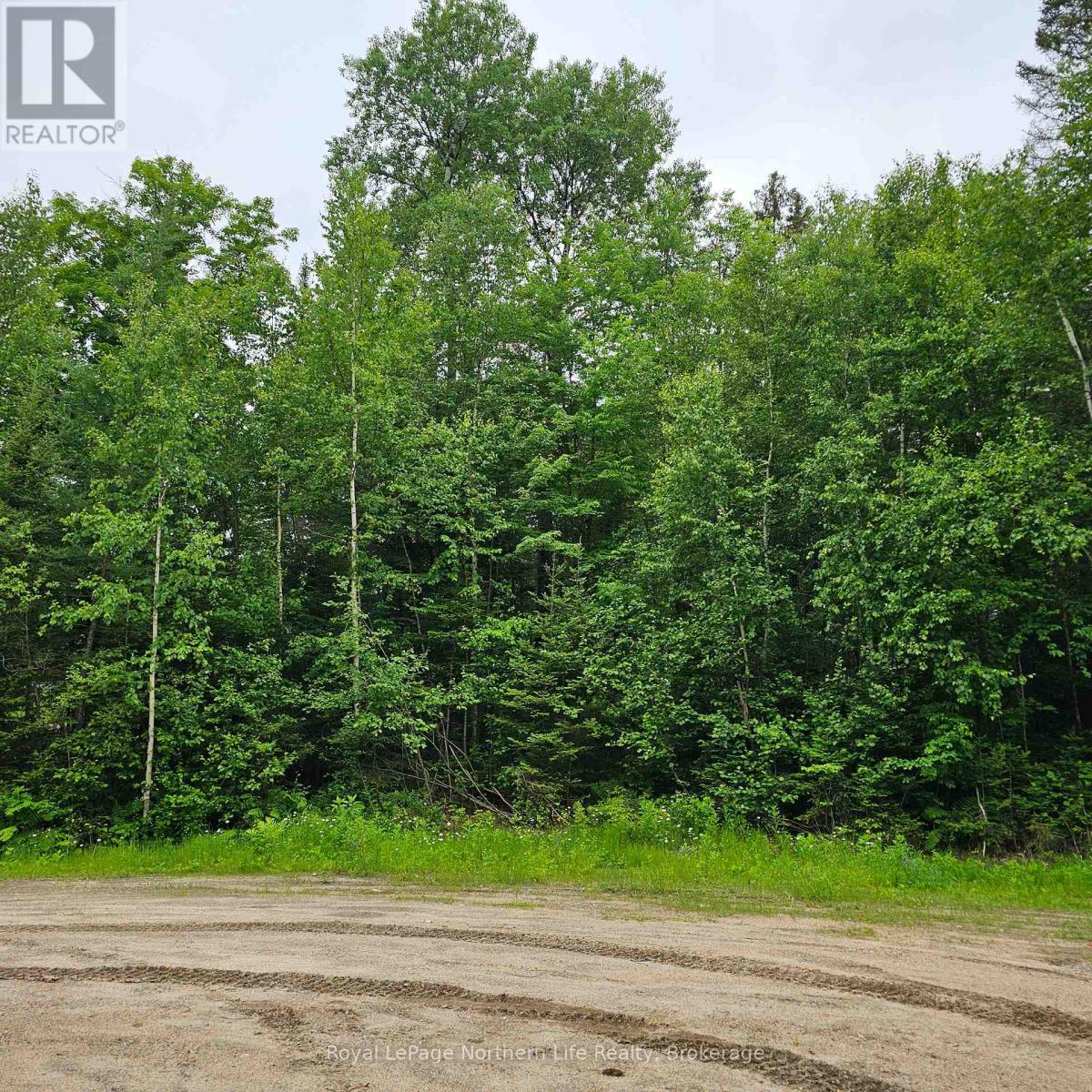 LOT 5 ARBUTUS TRAIL, Mattawan, Ontario