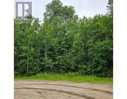 LOT 5 ARBUTUS TRAIL, Mattawan, Ontario