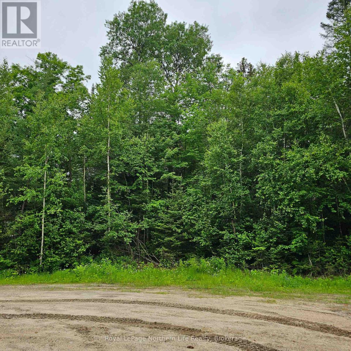 Lot 5 Arbutus Trail, Mattawan, Ontario  P0H 1V0 - Photo 3 - X12042458
