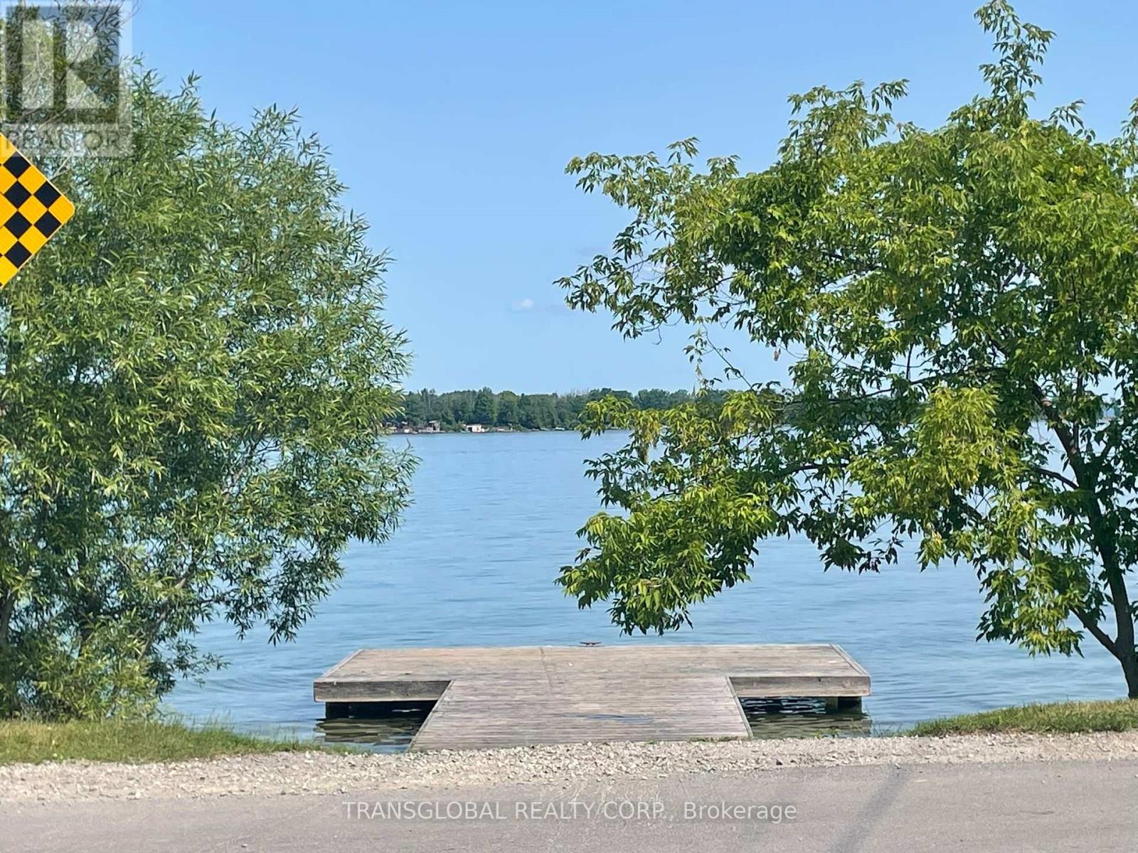 1035 Metro Road N, Georgina, Ontario  L4P 3E9 - Photo 26 - N12268180