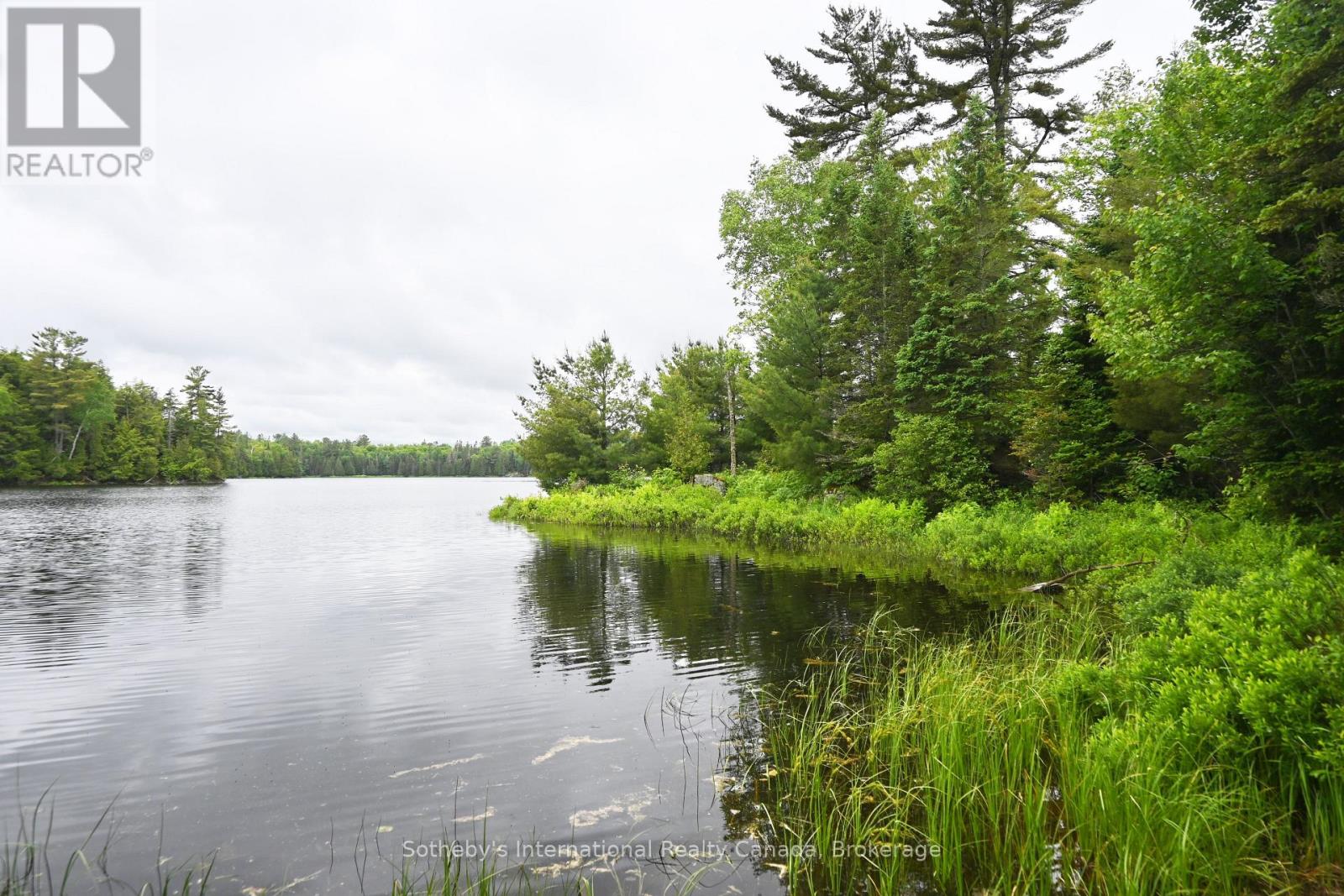 597 (Lot 1) Fords Road, Magnetawan, Ontario  P2A 0B5 - Photo 4 - X12268397