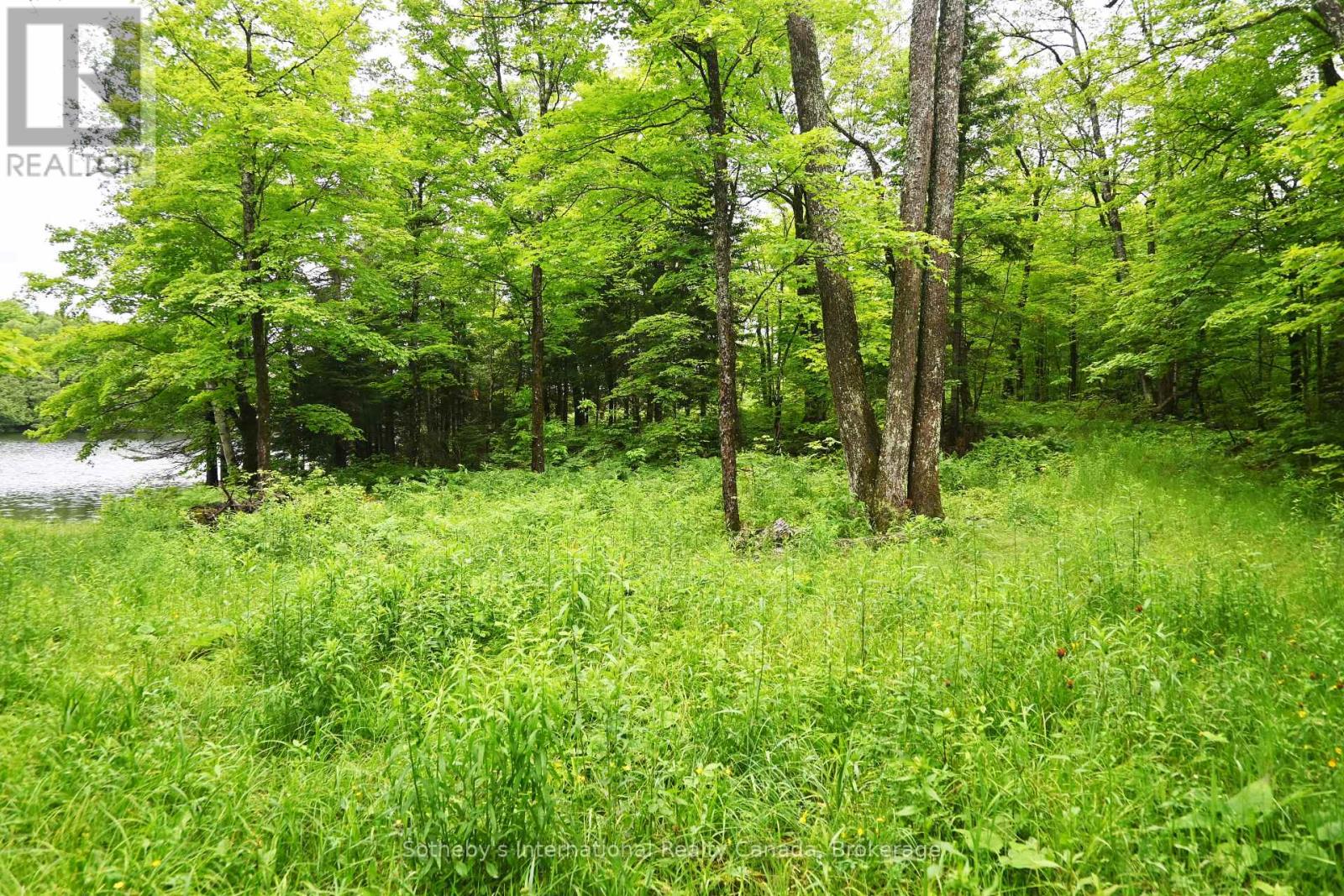 597 (Lot 1) Fords Road, Magnetawan, Ontario  P2A 0B5 - Photo 7 - X12268397