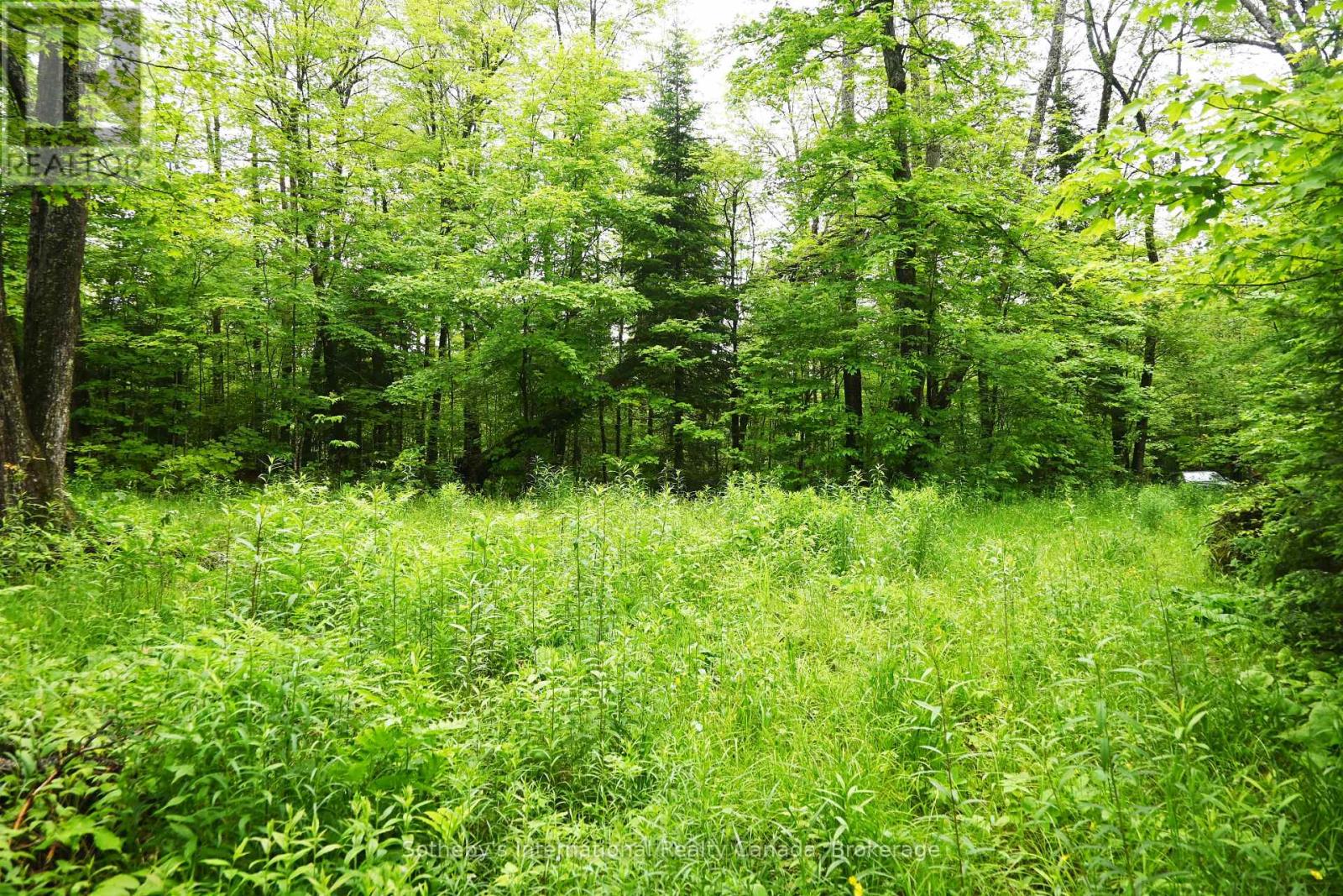 597 (Lot 1) Fords Road, Magnetawan, Ontario  P2A 0B5 - Photo 8 - X12268397