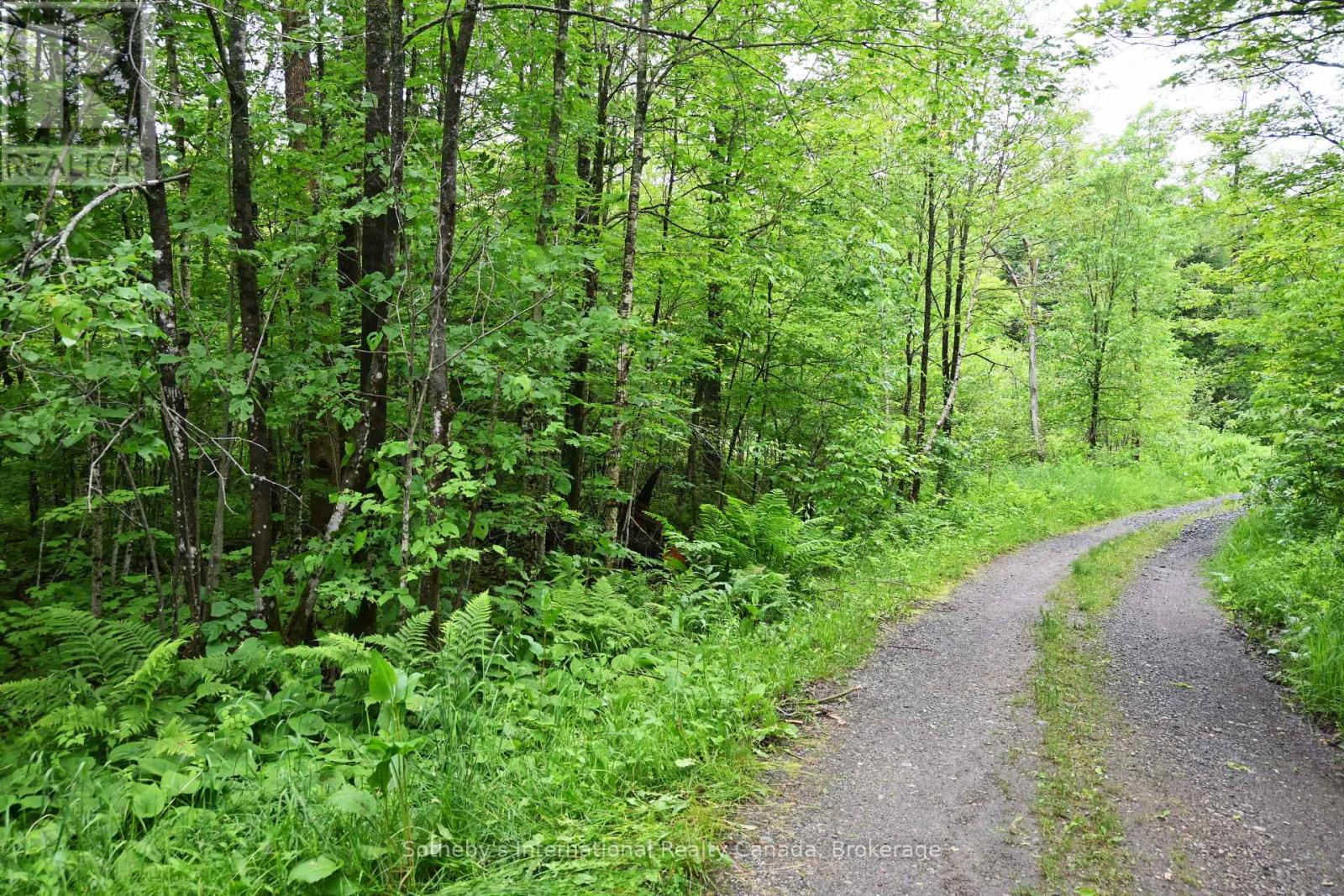 597 (Lot 1) Fords Road, Magnetawan, Ontario  P2A 0B5 - Photo 9 - X12268397
