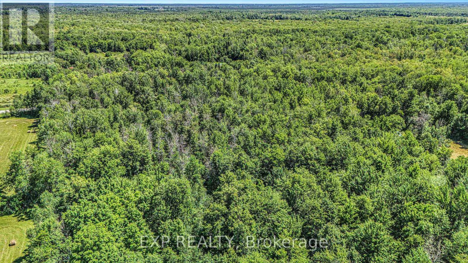 0000 Drummond Conc 7 Concession, Drummond/north Elmsley, Ontario  K7H 0L8 - Photo 15 - X12268488
