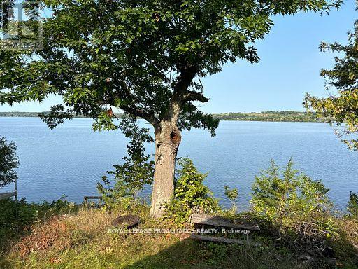 4 - 90 Mccracken Landing Road, Alnwick/haldimand, Ontario  K0K 2X0 - Photo 4 - X12268667