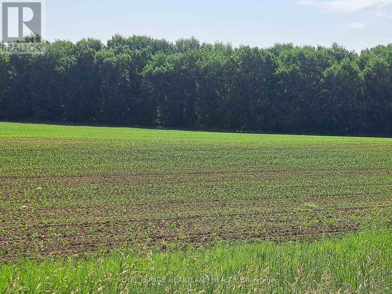 74018 Babylon Line, Bluewater, Ontario  N0M 2T0 - Photo 1 - X12268589