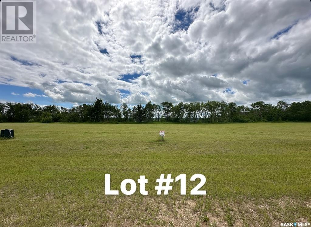 Sun Hills Resort, Cote Rm No. 271, Saskatchewan  S0A 4E0 - Photo 13 - SK011842