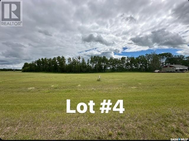 Sun Hills Resort, Cote Rm No. 271, Saskatchewan  S0A 4E0 - Photo 5 - SK011842