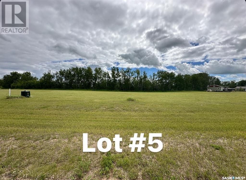 Sun Hills Resort, Cote Rm No. 271, Saskatchewan  S0A 4E0 - Photo 6 - SK011842