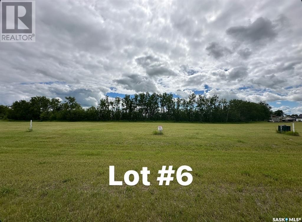 Sun Hills Resort, Cote Rm No. 271, Saskatchewan  S0A 4E0 - Photo 7 - SK011842