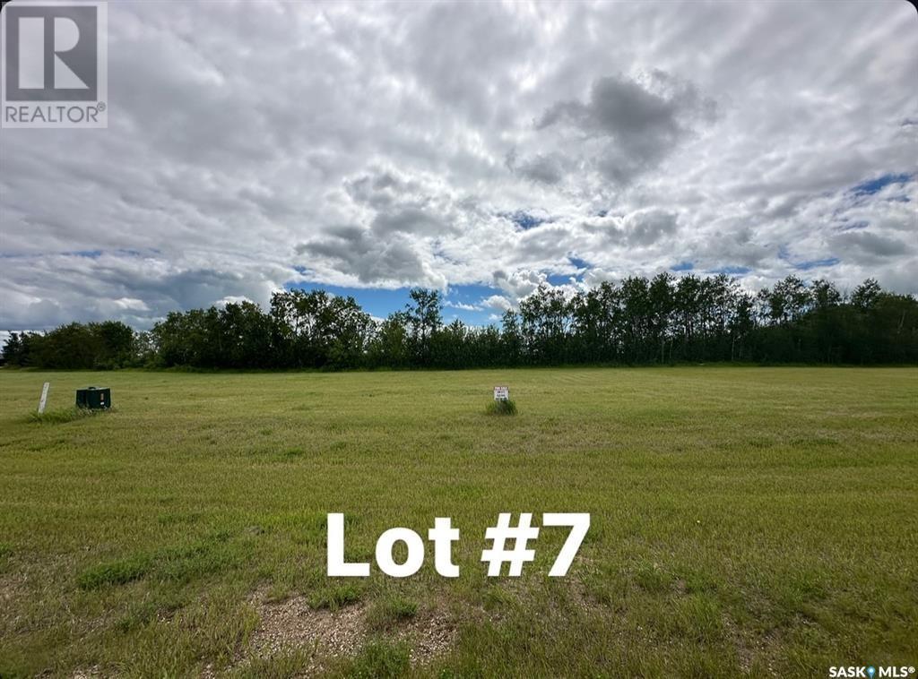Sun Hills Resort, Cote Rm No. 271, Saskatchewan  S0A 4E0 - Photo 8 - SK011842