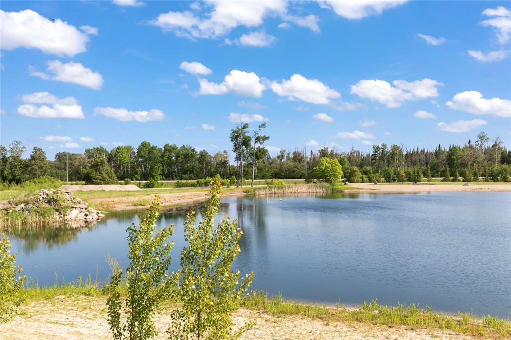 20 Knight Avenue, Rm Of Reynolds, Manitoba  R0E 0N0 - Photo 38 - 202515909