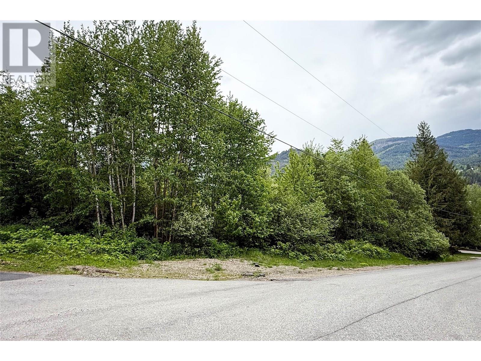 28 Evergreen Avenue, Fruitvale, British Columbia  V0G 1L0 - Photo 7 - 10328557