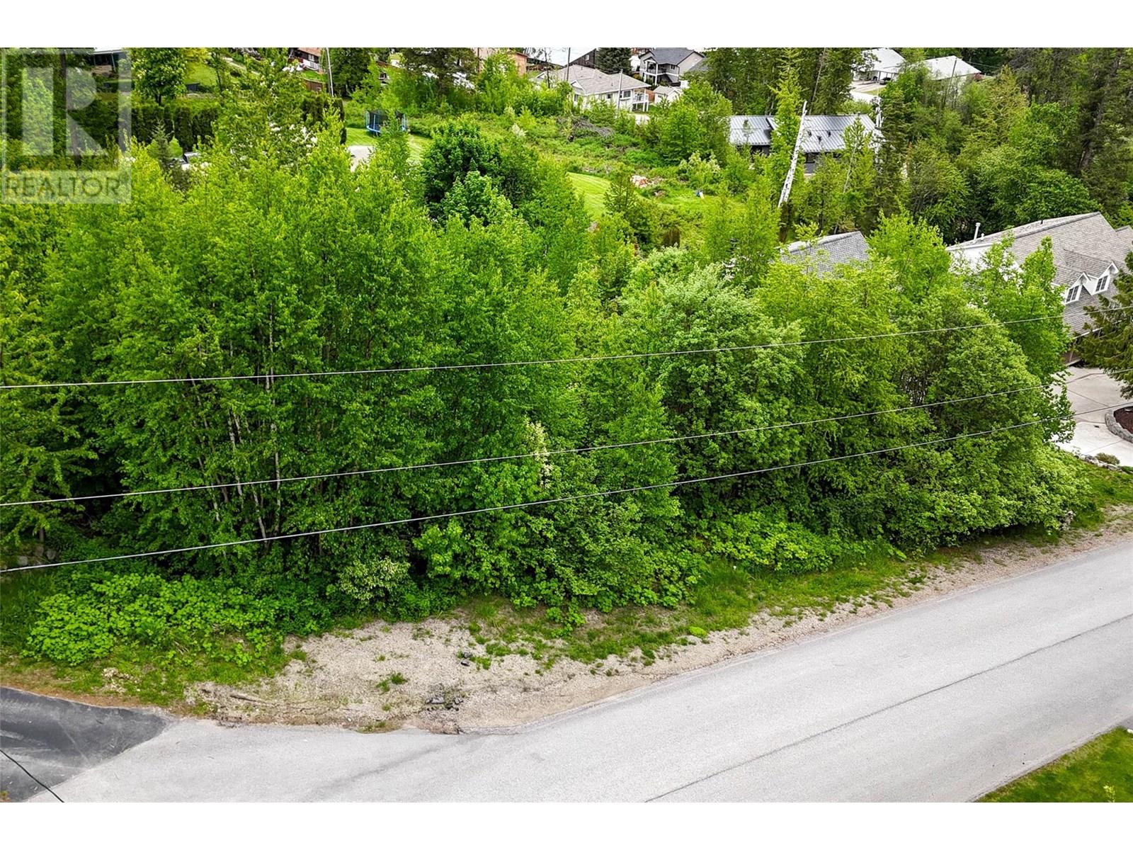 28 Evergreen Avenue, Fruitvale, British Columbia  V0G 1L0 - Photo 4 - 10328557