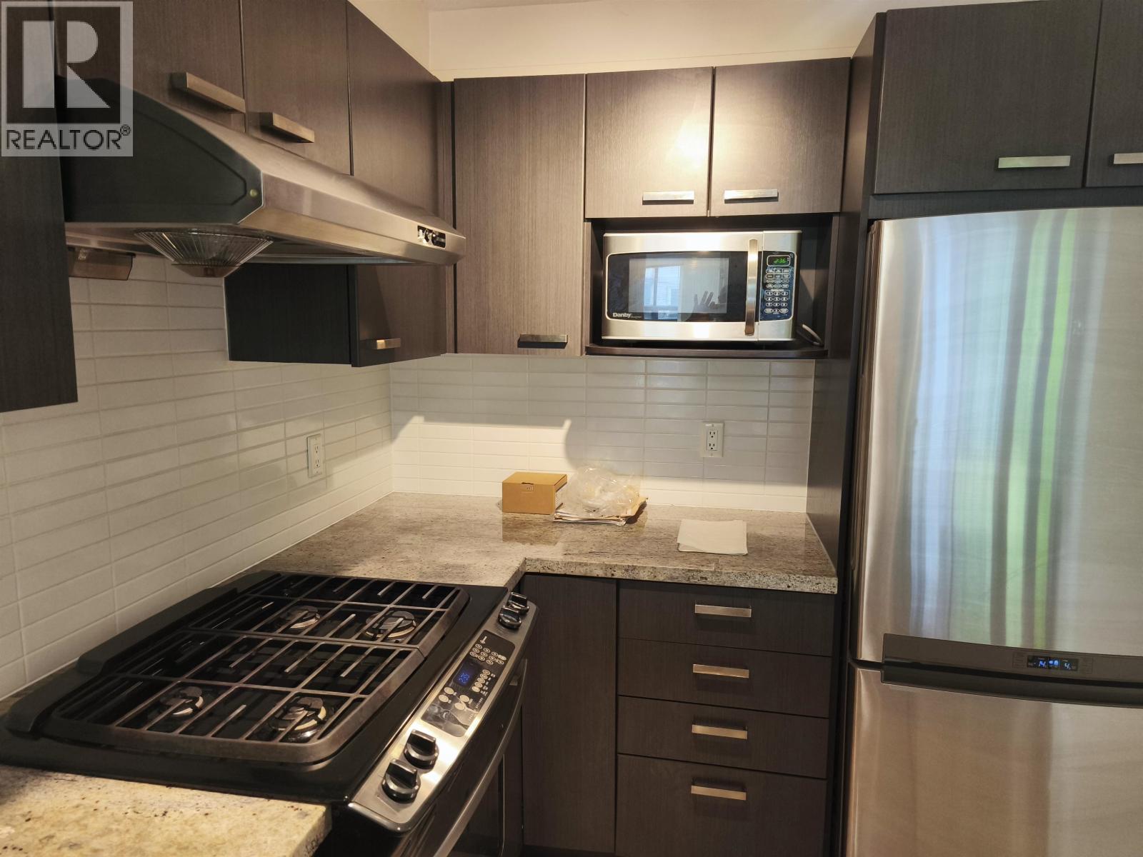 227 9500 Odlin Road, Richmond, British Columbia  V6X 0H5 - Photo 4 - R3024033