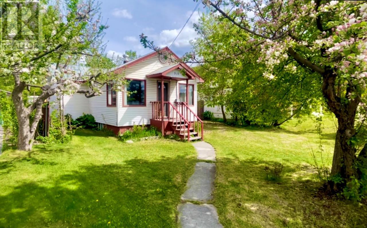 919 10th Street, golden, British Columbia V0A1H0