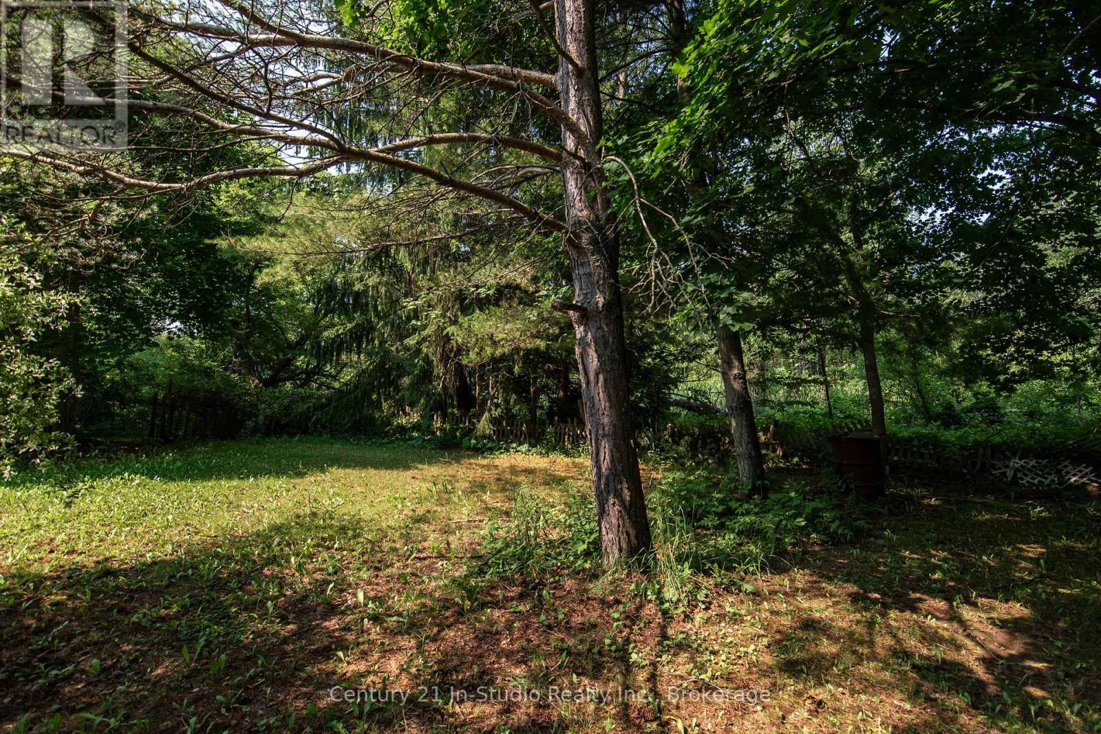 78 Garafraxa Street, Chatsworth, Ontario  N0H 1G0 - Photo 15 - X12257892