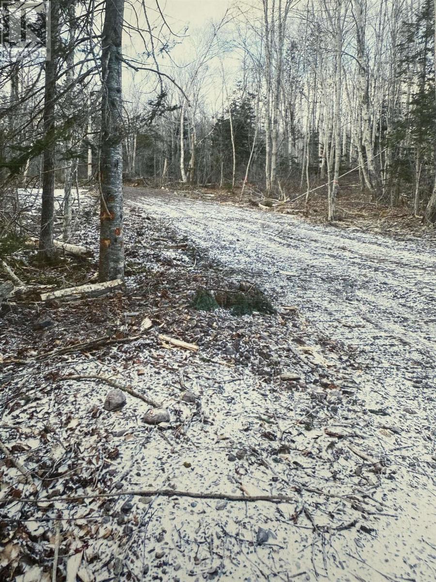 Monks Head Road, Pomquet, Nova Scotia  B2G 2L4 - Photo 3 - 202507295