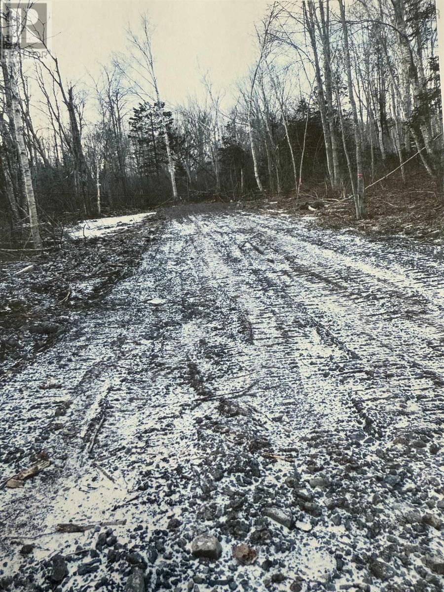 Monks Head Road, Pomquet, Nova Scotia  B2G 2L4 - Photo 4 - 202507295