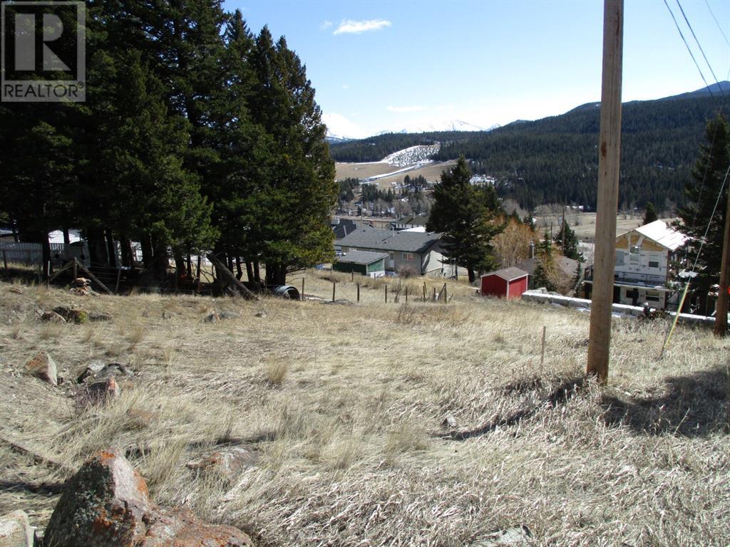 6502 24 Avenue, Coleman, Alberta  T0K 0M0 - Photo 4 - A2148304