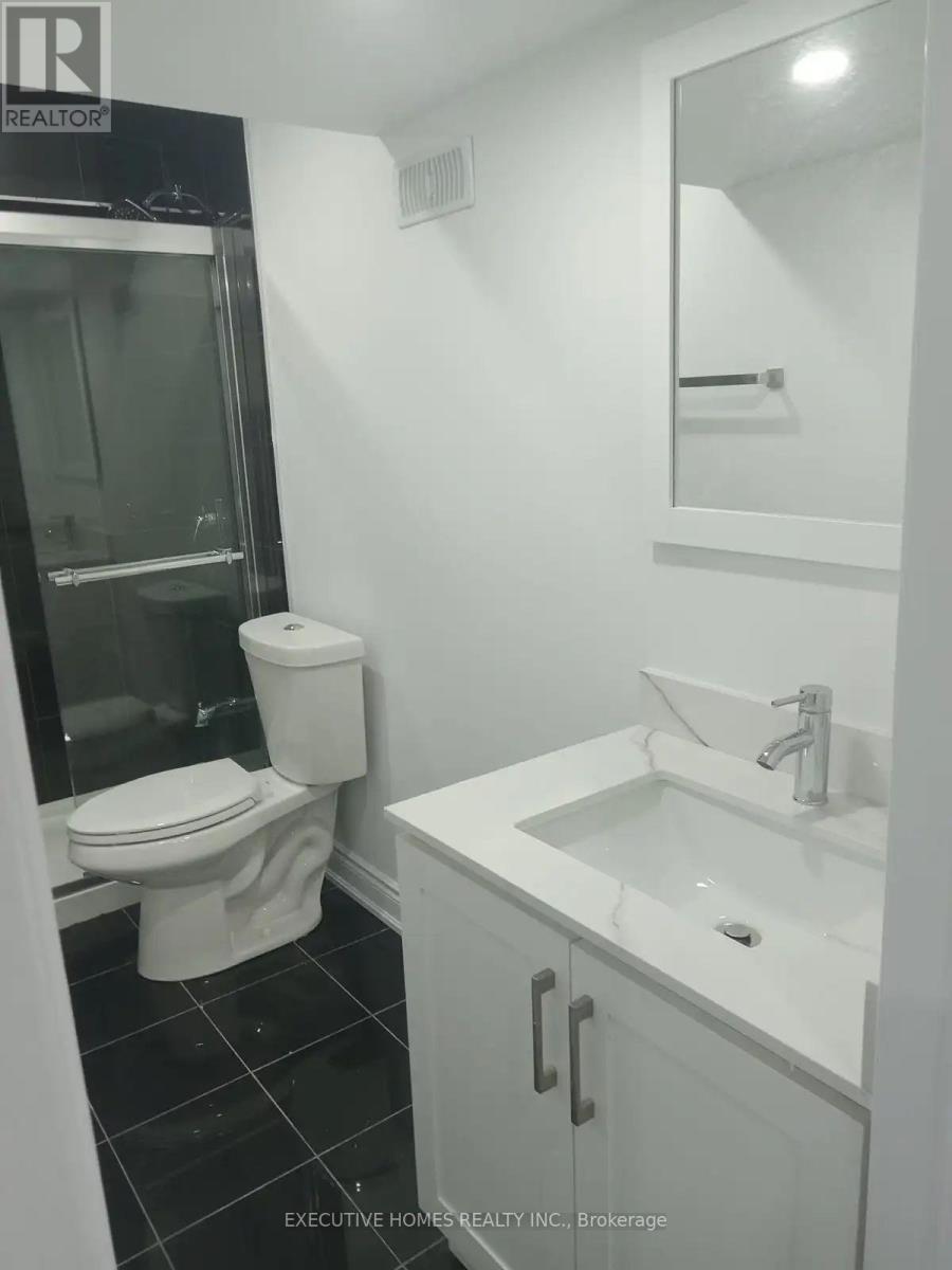Basement - 146 Sandyshores Drive E, Brampton, Ontario  L6R 2M3 - Photo 7 - W12268811