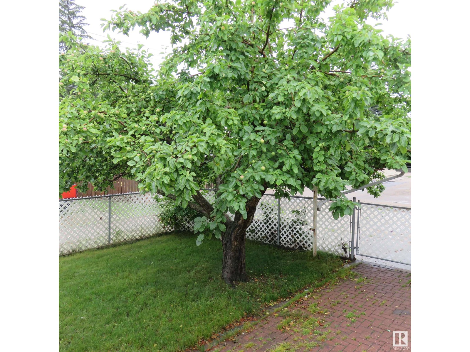 13719 118 Av Nw, Edmonton, Alberta  T5L 2M1 - Photo 16 - E4446394