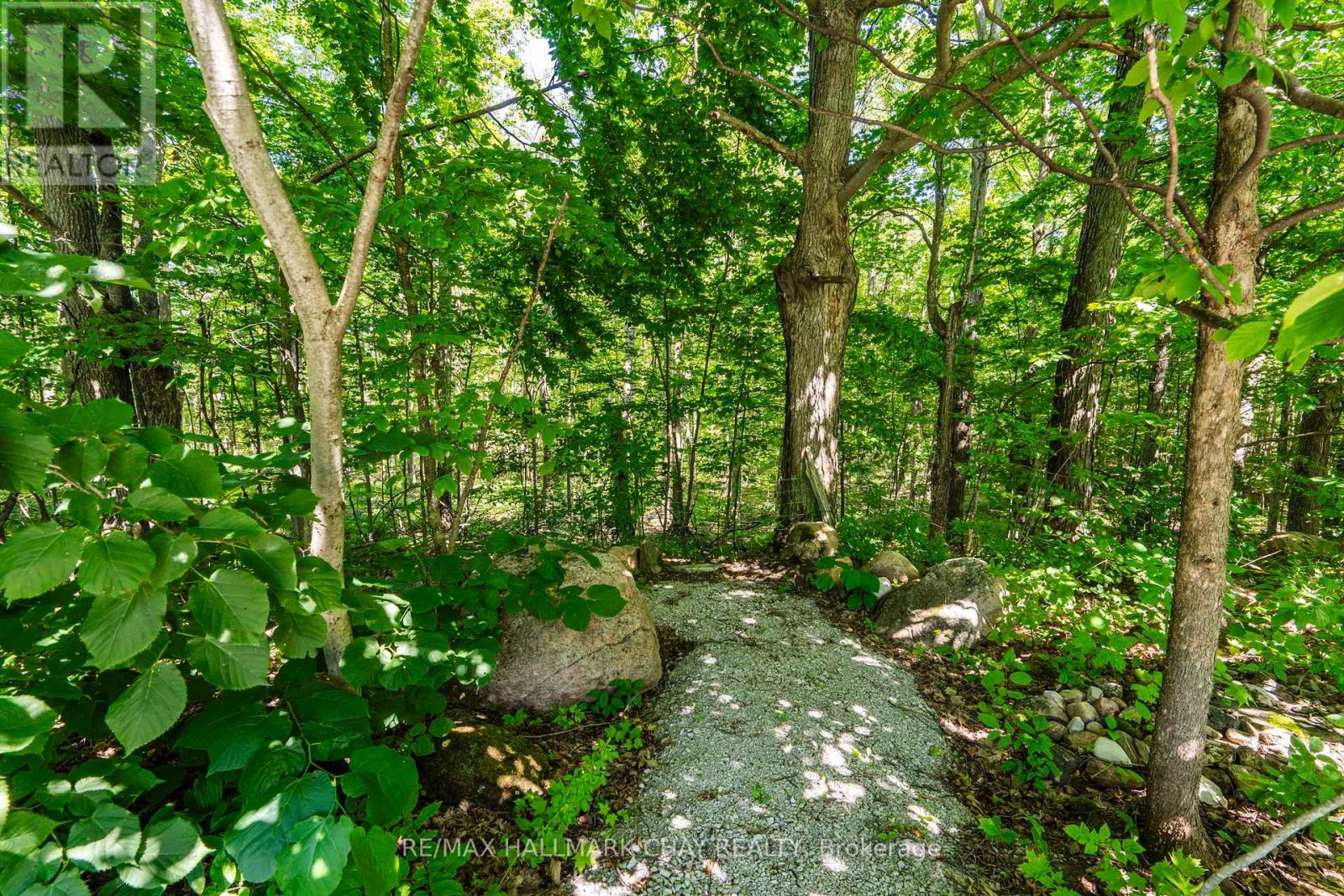 403 Moonstone Road E, Oro-Medonte, Ontario  L0K 1N0 - Photo 38 - S12268920