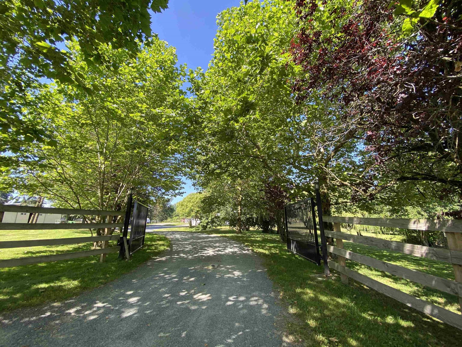 3643 254 Street, Langley, British Columbia  V4W 2R3 - Photo 3 - R3013479