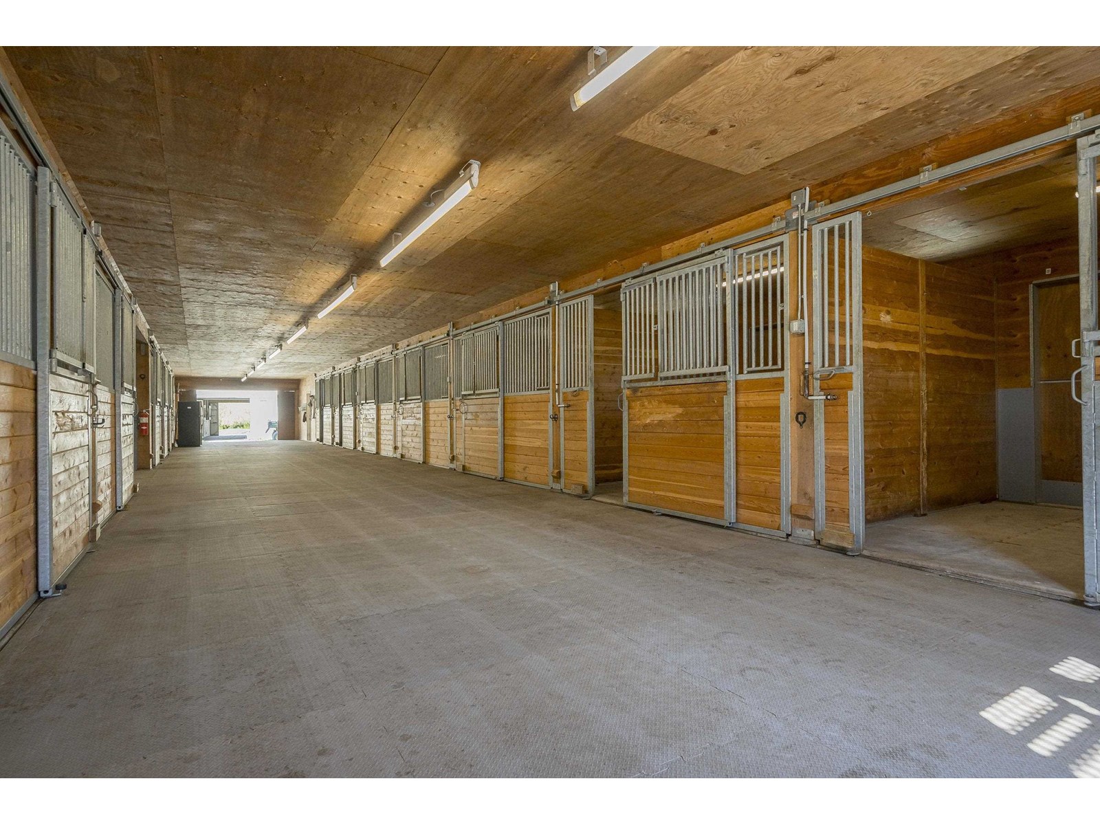 3643 254 Street, Langley, British Columbia  V4W 2R3 - Photo 22 - R3013479