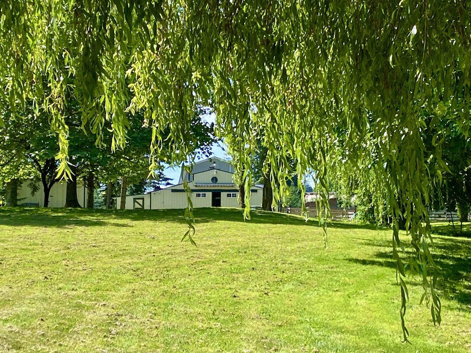 3643 254 Street, Langley, British Columbia  V4W 2R3 - Photo 28 - R3013479