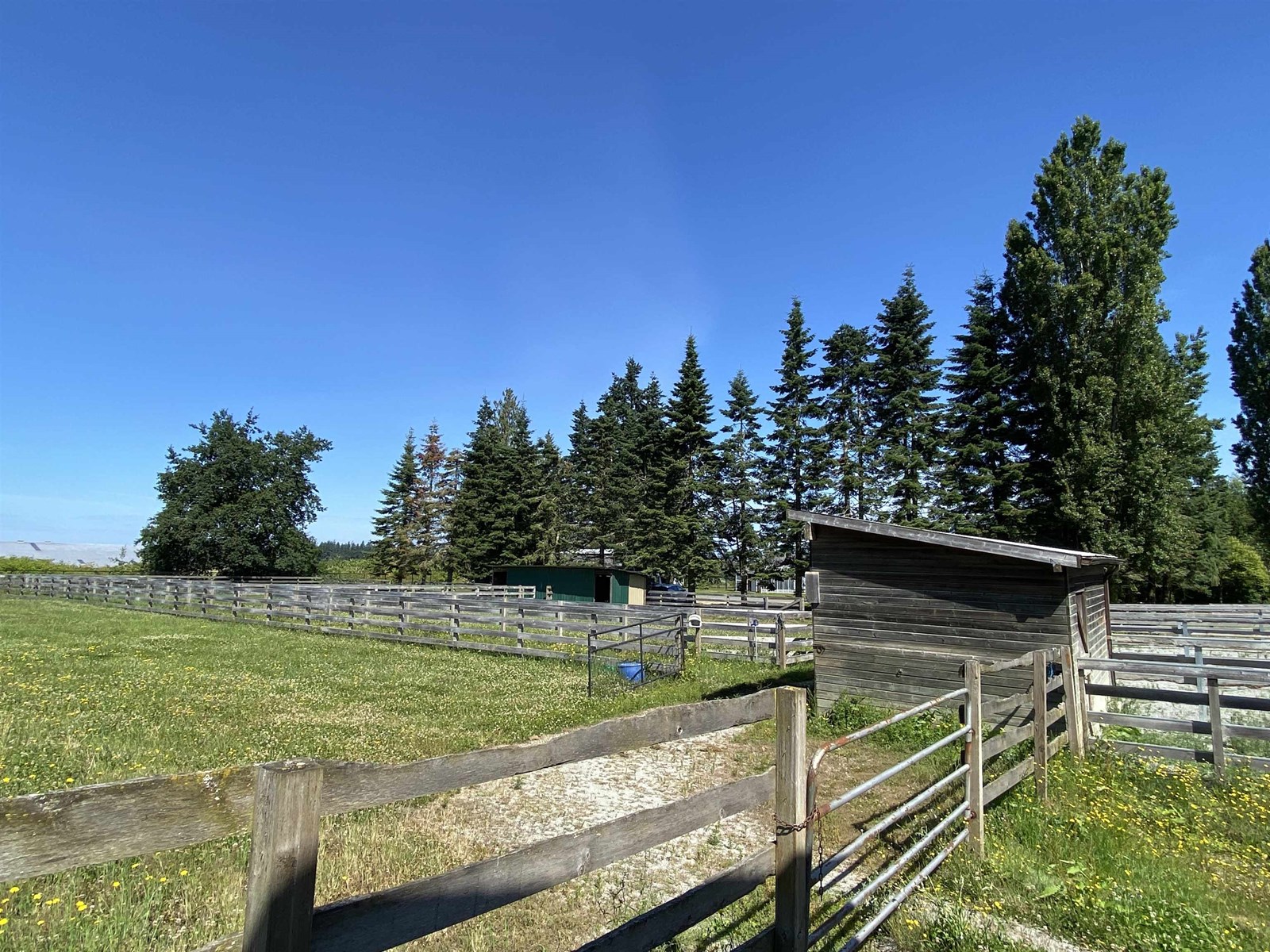 3643 254 Street, Langley, British Columbia  V4W 2R3 - Photo 35 - R3013479