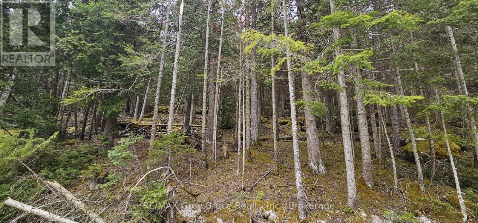 Pt Lt 21 Cape Chin N Shore Road, Northern Bruce Peninsula, Ontario  N0H 1W0 - Photo 25 - X12269287