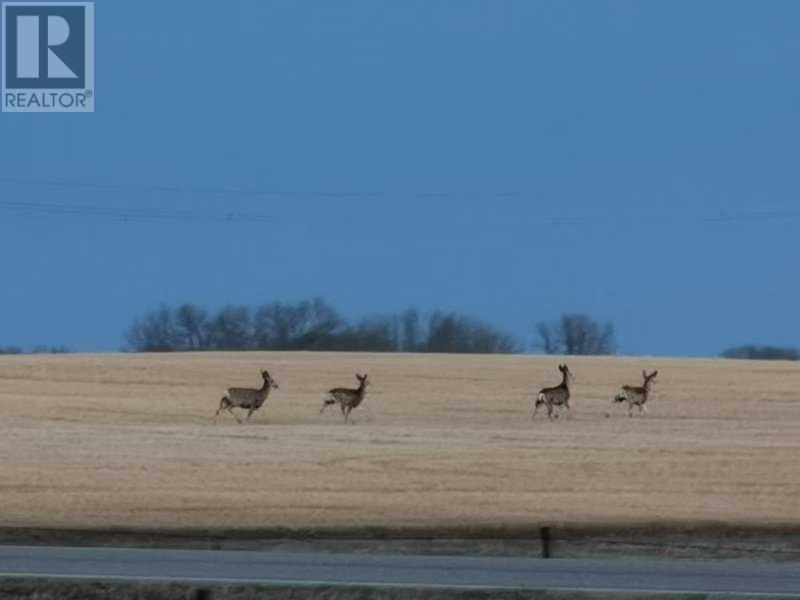 273250 Township Road 250 Road E, Rural Rocky View County, Alberta  T1Z 0Y5 - Photo 22 - A2235183