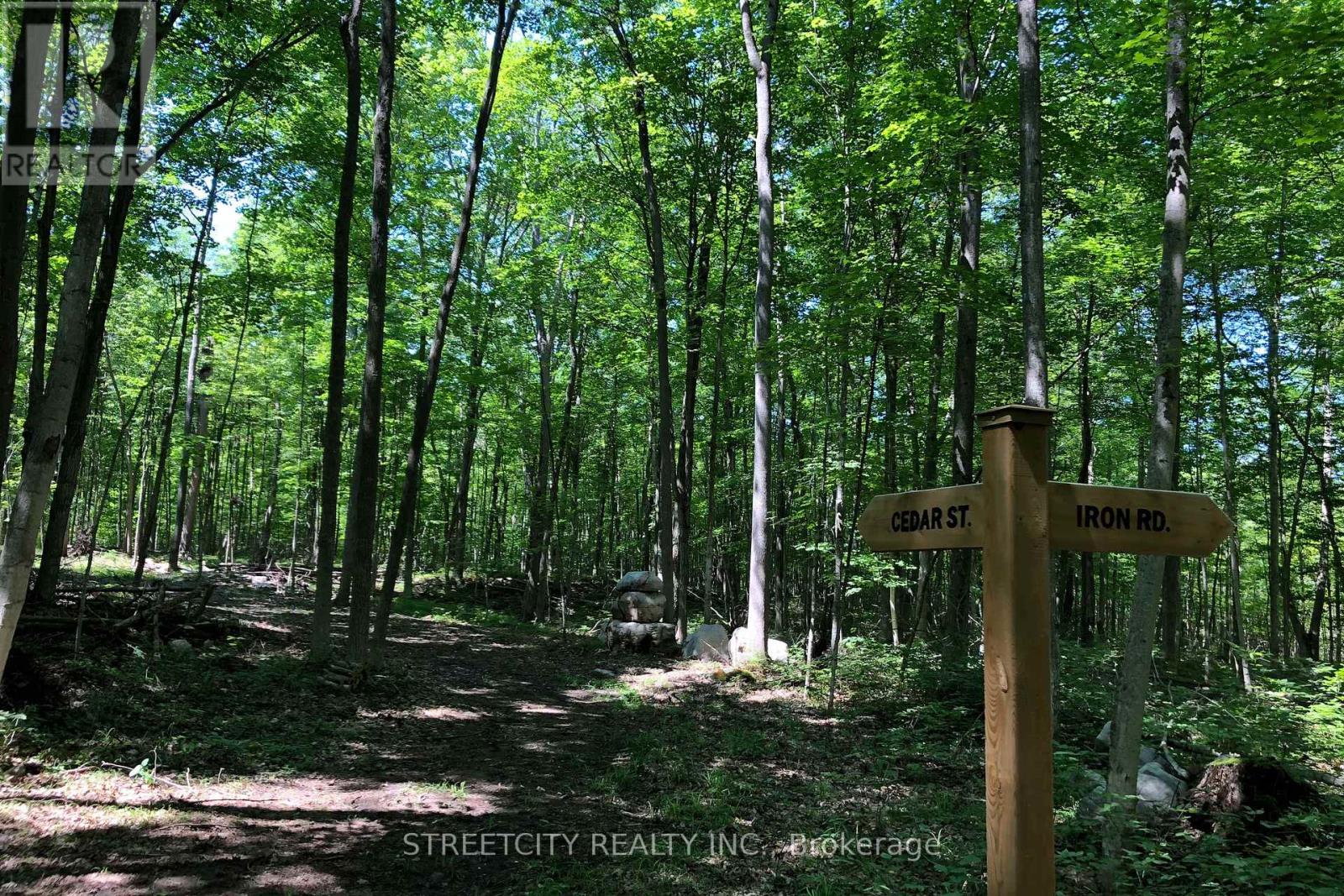 171 Flatrock Road, Tweed (Hungerford (Twp)), Ontario  K0K 2Y0 - Photo 34 - X12269369