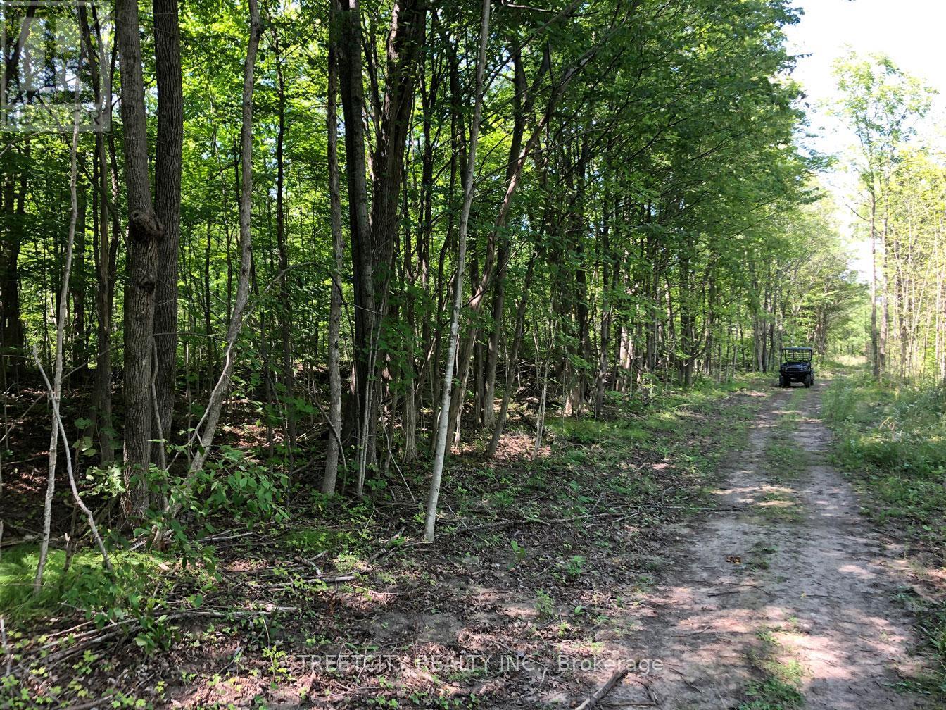 171 Flatrock Road, Tweed (Hungerford (Twp)), Ontario  K0K 2Y0 - Photo 42 - X12269369