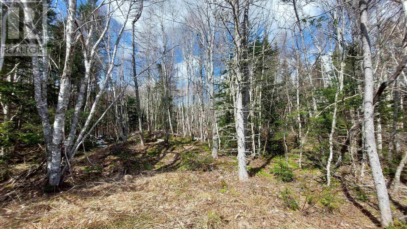 Lot 4 Beaver Ln., Grantville, Nova Scotia  B0E 1J0 - Photo 12 - 202504946
