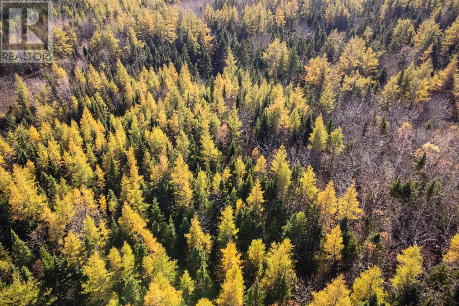 Lot 4 Beaver Ln., Grantville, Nova Scotia  B0E 1J0 - Photo 8 - 202504946